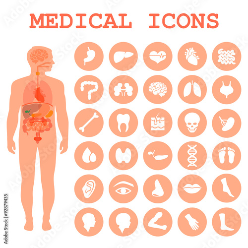 medical infographic icons, human organs, body anatomy