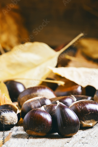 Chestnuts on an old wooden table in the autumn background, selec photo