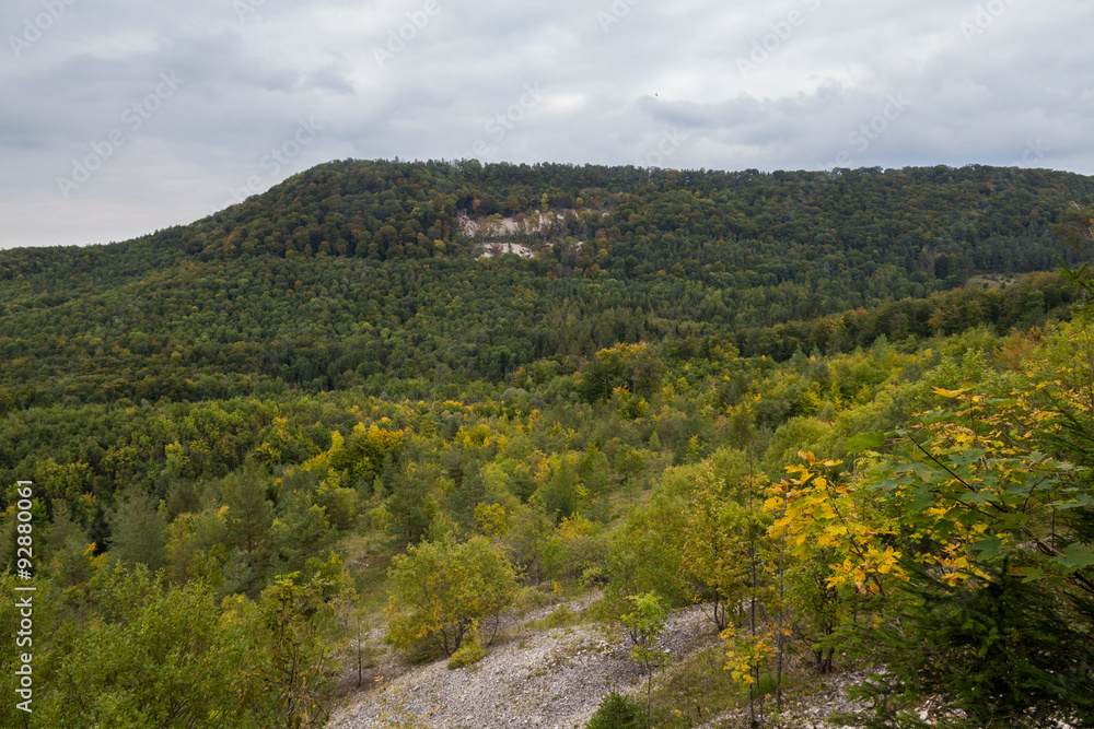 Herbstwald am Mössinger Bergrutsch