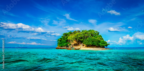 Tropical island in sea