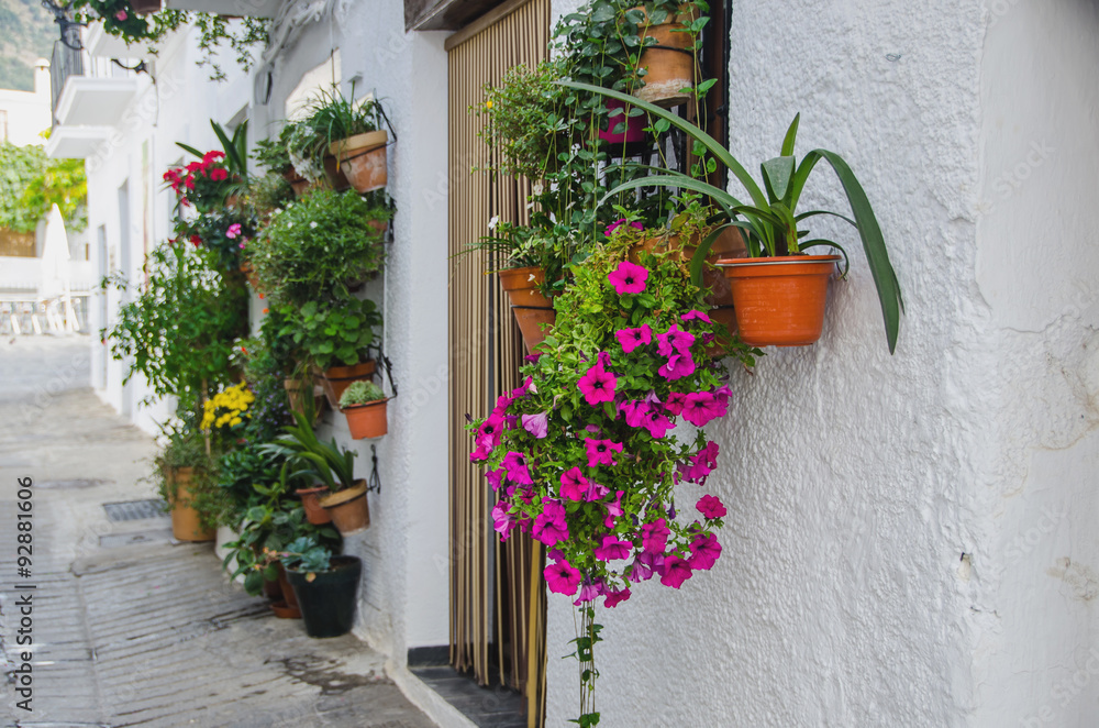 House entrance with plantpots Capileira