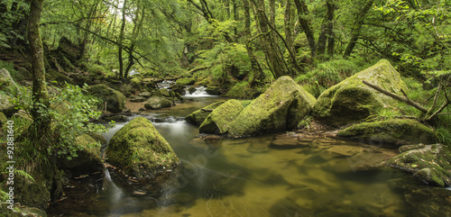 Beautiful landscape of river flowing through lush forest Golitha © veneratio