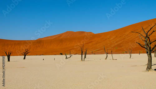 Sossusvlei