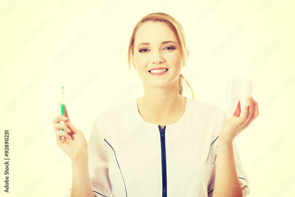 Young dentist with toothbrush and tooth model. Young dentist with toothbrush and tooth model.