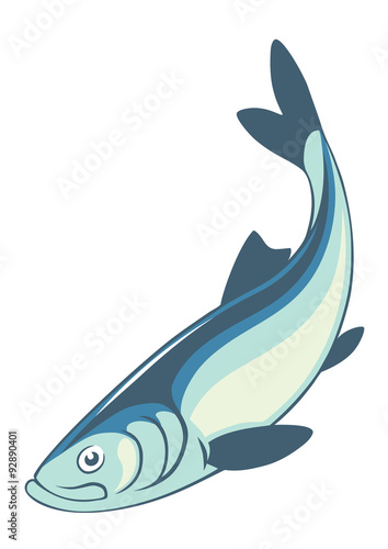  herring fish