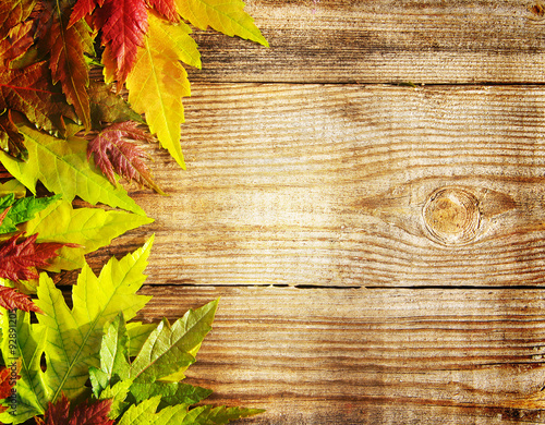Autumn background with bright autumn leaves. Autumn leaves on a textural wooden surface. With copy space