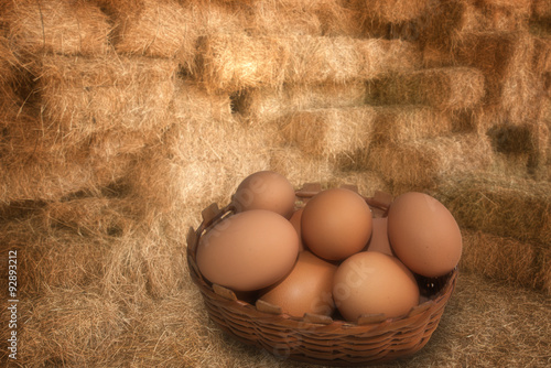 Brown Eggs in the Farm photo