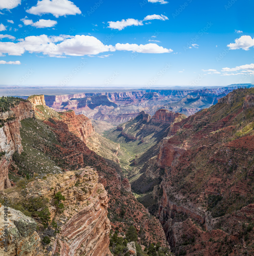 Grand Canyon Landscapes