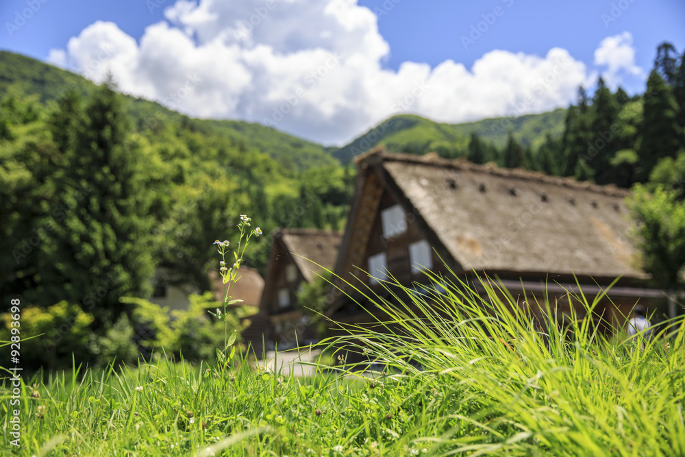Fototapeta premium Historic village of Shirakawago in Japan is famous for the Gassho style architecture and is a UNESCO World Heritage Site.