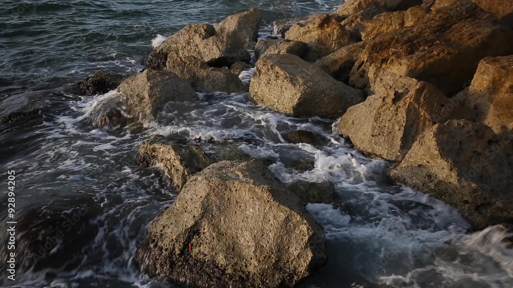 Waves on the shores Waves on the shores