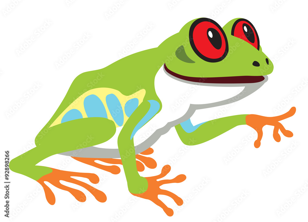 cartoon red eye tree frog . Side view image isolated on white Stock Vector  | Adobe Stock