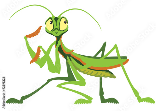 cartoon praying mantis isolated on white