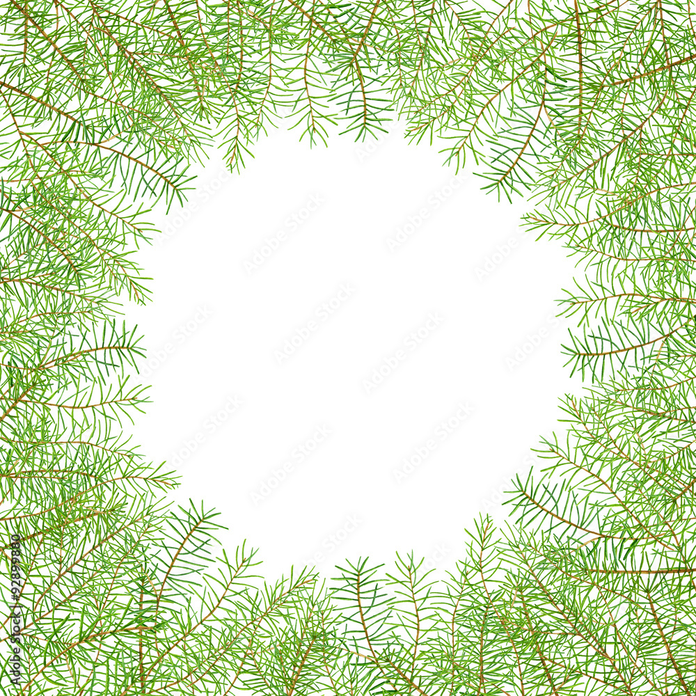 Green watercolor frame pine branches Green watercolor frame pine branches