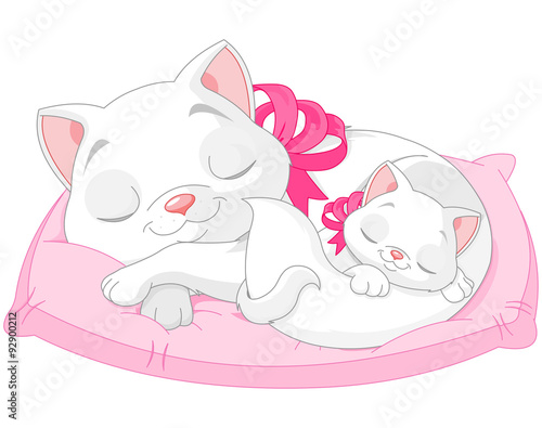 Fototapeta Naklejka Na Ścianę i Meble -  White Cats