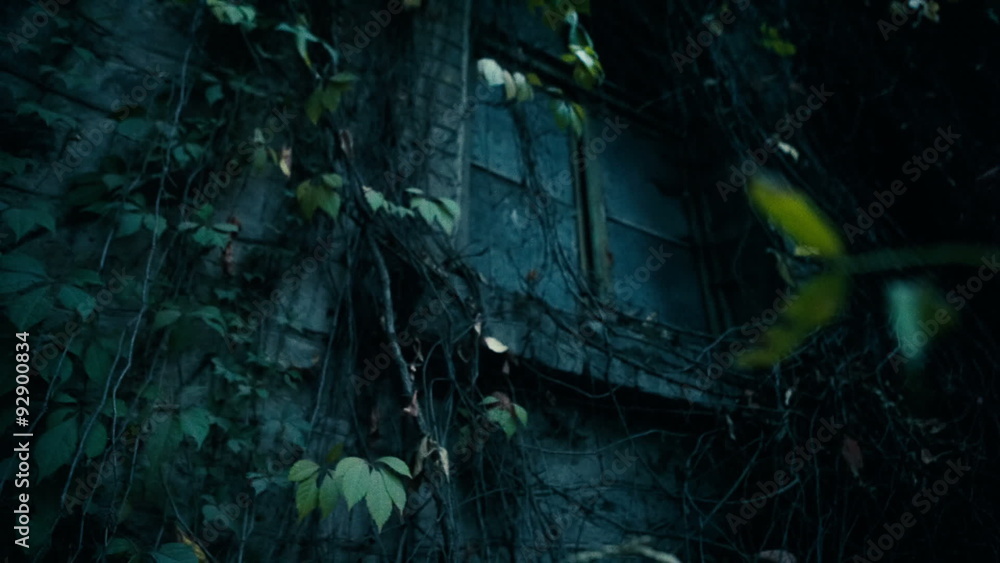 Scary old overgrown window in an old abandoned house. Halloween Scary old overgrown window in an old abandoned house. Halloween
