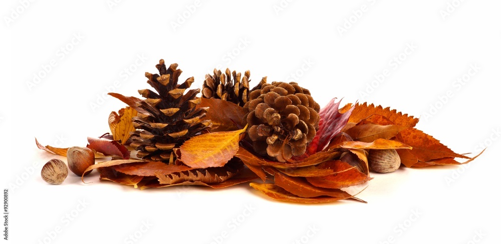 Obraz premium Pile of autumn leaves, pine cones and nuts over a white background