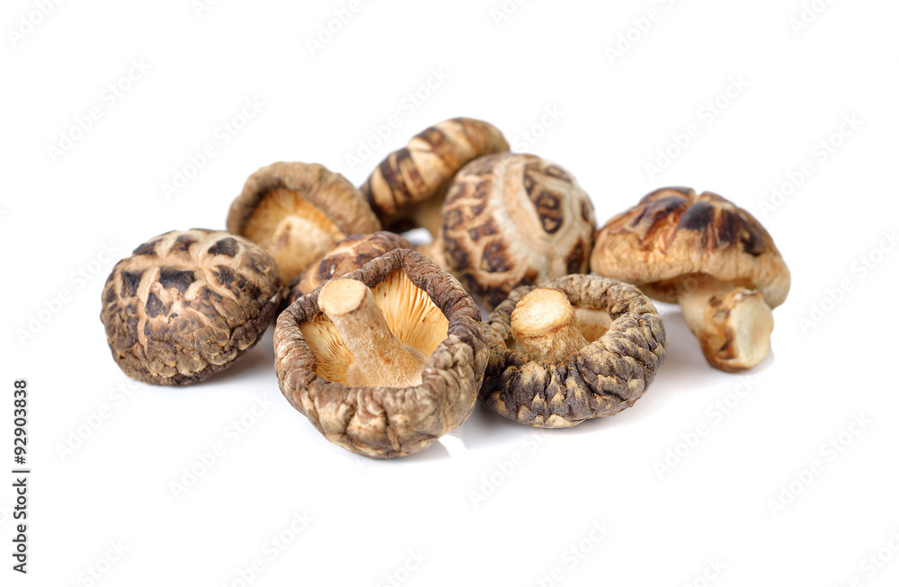 dried Shiitake mushrooms on white background dried Shiitake mushrooms on white background