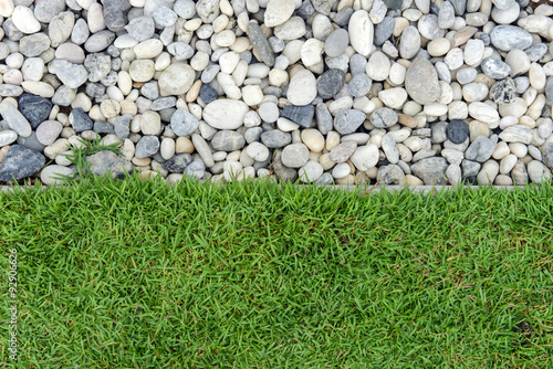 Green grass with Pebbles, Stone and grass in garden, grass with rock, Pebble with Grass, background