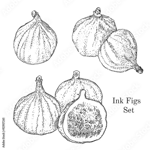 Ink figs sketches set