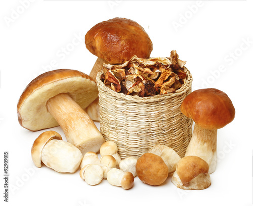 Boletus Edulis mushrooms isolated on white background.