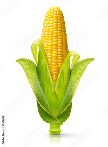 Fotomurale Corn isolated