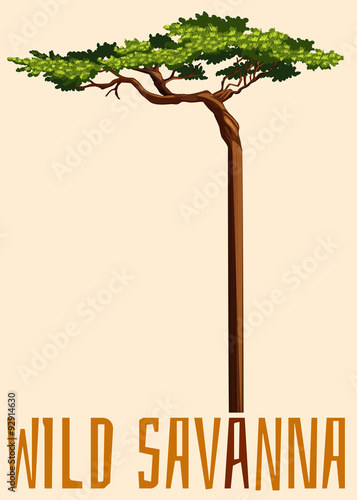 Wild savanna sign with tree