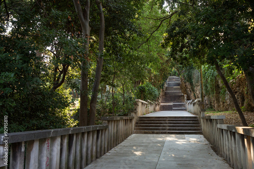 Long flight of stony steps to the Marjan hill surrounded by trees in Split, Croatia. © tuomaslehtinen