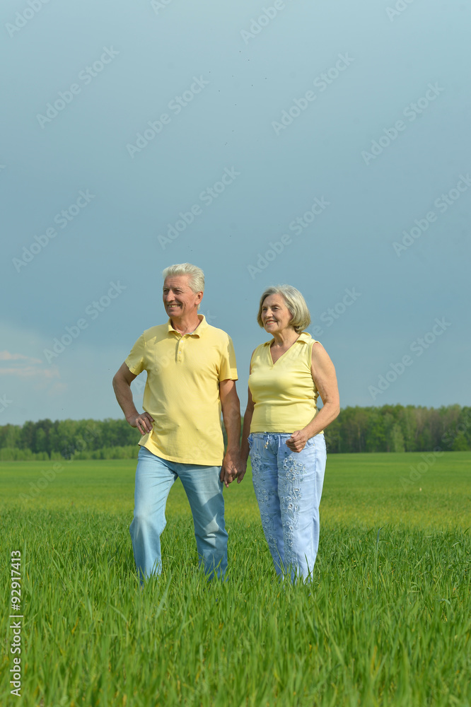 Senior couple  in summer field