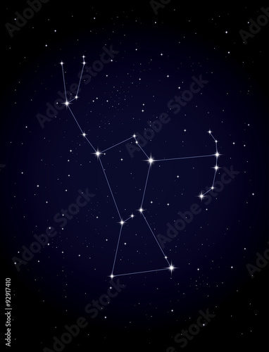 Constellation Orion photo