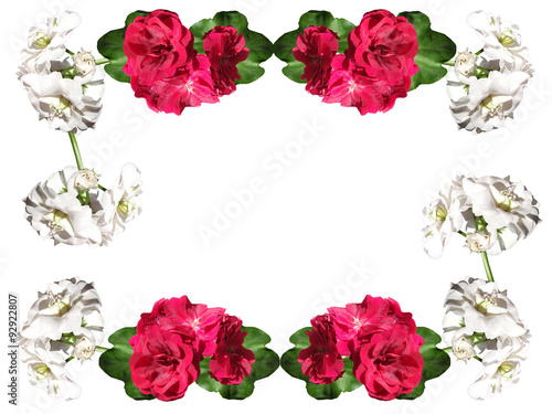 White and red flowers on a white background 
