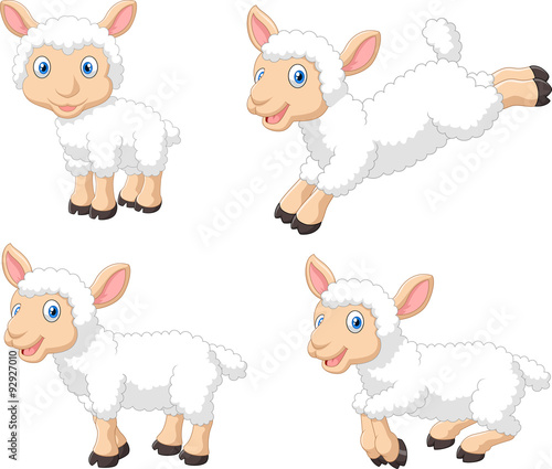 Cute cartoon sheep collection set, isolated on white background 