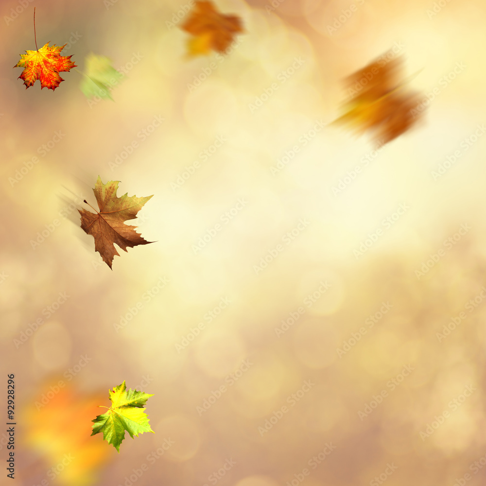 Autumnal fall. Abstract seasonal backgrounds Autumnal fall. Abstract seasonal backgrounds