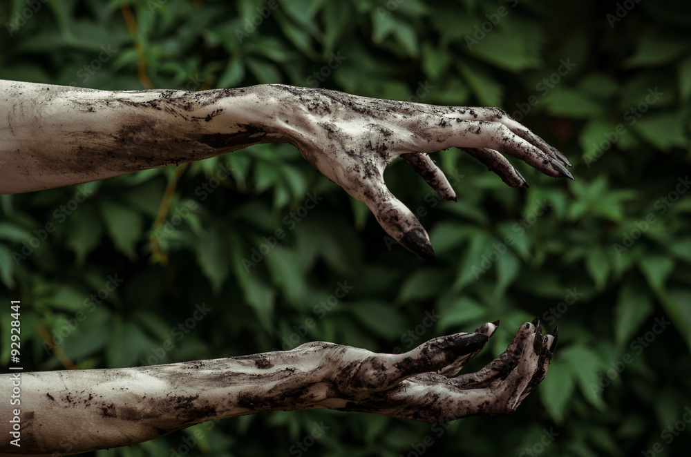 Horror and Halloween theme: Terrible zombie hands dirty with black nails reaches for green leaves, walking dead apocalypse Horror and Halloween theme: Terrible zombie hands dirty with black nails reaches for green leaves, walking dead apocalypse