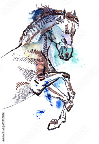 Leaping horse black and copper drawing on a watercolor splash background © tabuday