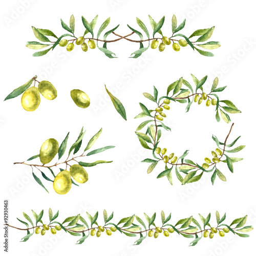 Watercolor olive branch background.