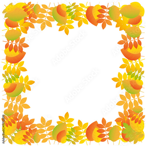 autumn leaves frame on white background