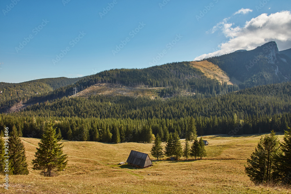 Fototapeta premium Tatry Kalatówki