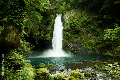 Bujny zielony wodospad w Minami Izu, jednodniowa wycieczka z dala od Tokio, aby cieszyć się przyrodą i świeżym powietrzem