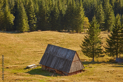 Fototapeta Naklejka Na Ścianę i Meble -  Chata