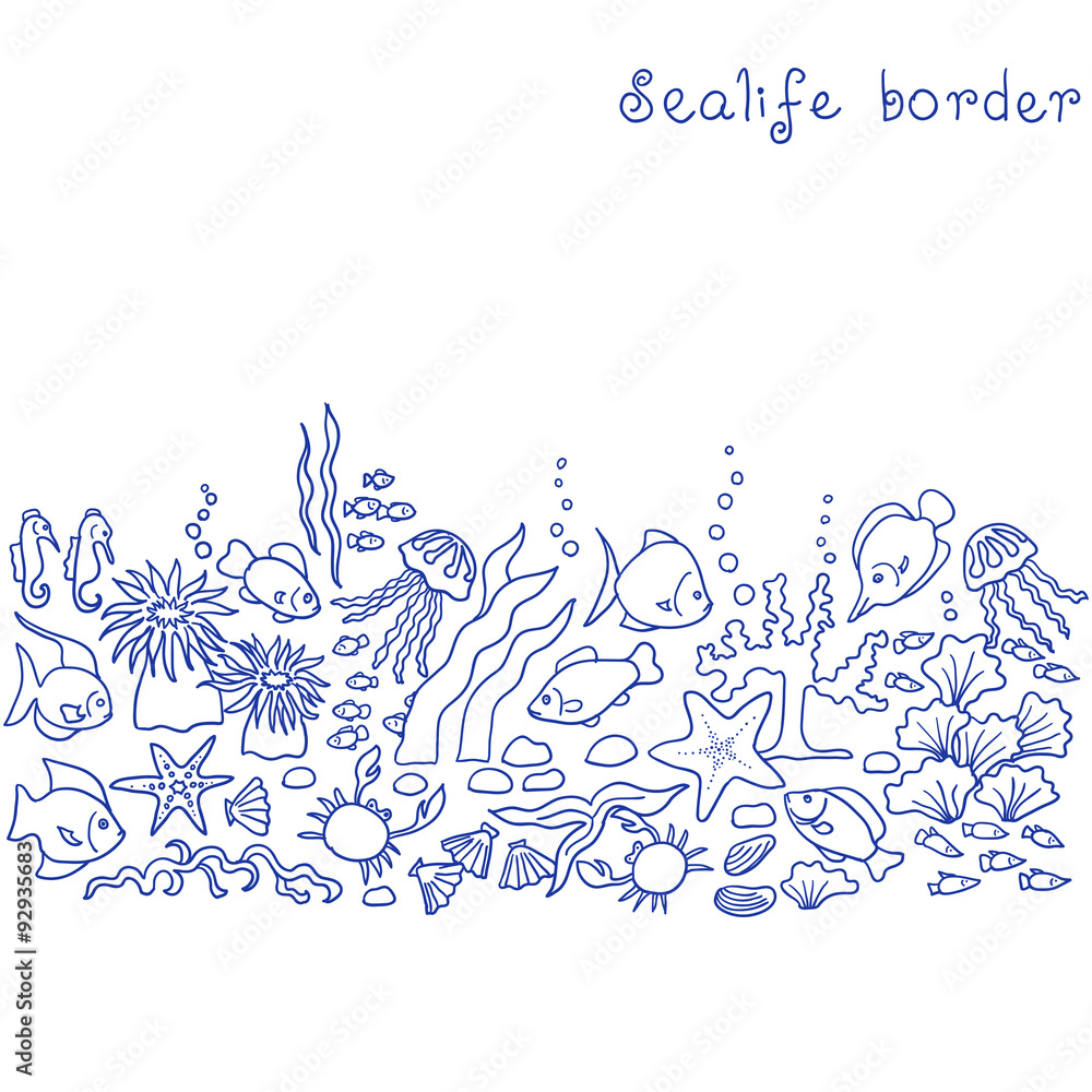 A border various sea life, drawn with blue pen on white background. Exotic fishes, jellyfishes, starfishes, hippocampus, crabs, shells, stones and algae.Vector illustration.