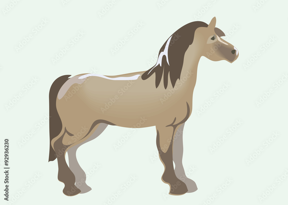 Fototapeta premium Standing usually horse. Vector