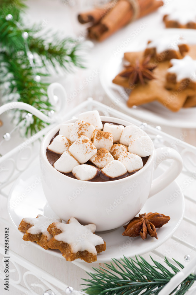 spicy hot chocolate with marshmallows, vertical spicy hot chocolate with marshmallows, vertical