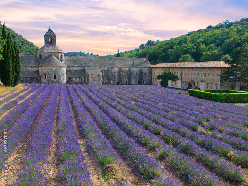 Obraz premium Abbey of Senanque with lavender field