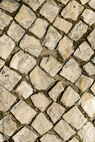 Walkway cobblestone. Cobbled road texture - vertical.