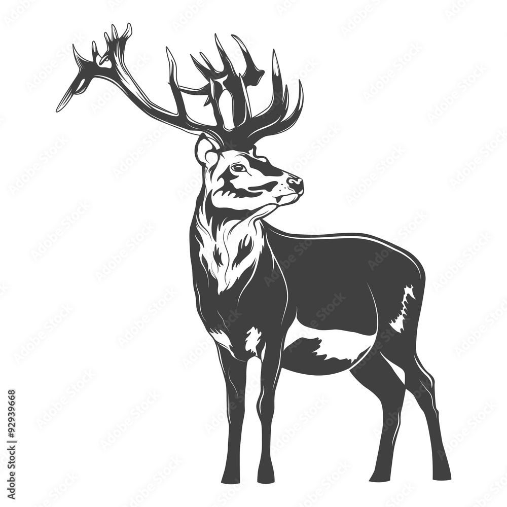 Obraz premium Vector deer
