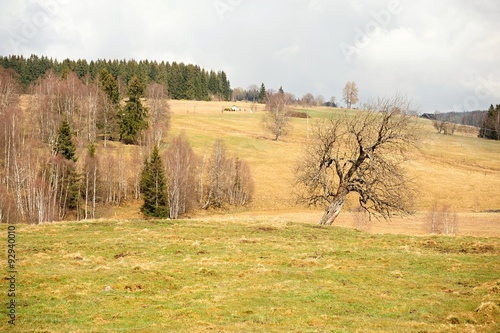 Fototapeta Naklejka Na Ścianę i Meble -  Spring landscape in Sumava