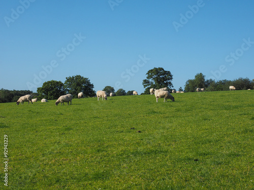 View of Tanworth in Arden photo