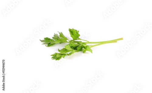 Fresh parsley on white background