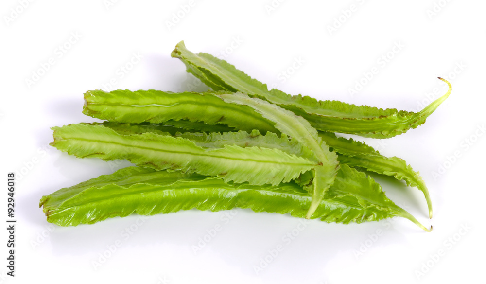 winged bean on white background winged bean on white background