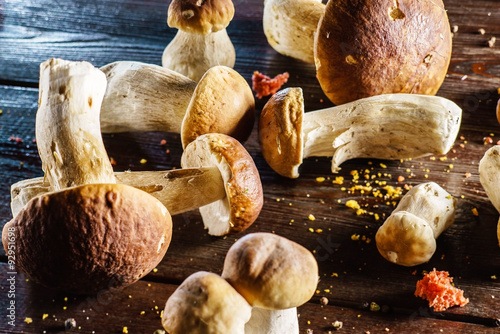 Mushroom Boletus over Wooden Background